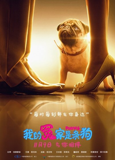 我的冤家是条狗的海报-预告海报 中国大陆