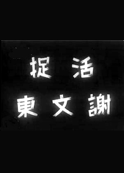 活捉谢文东的海报-正式海报