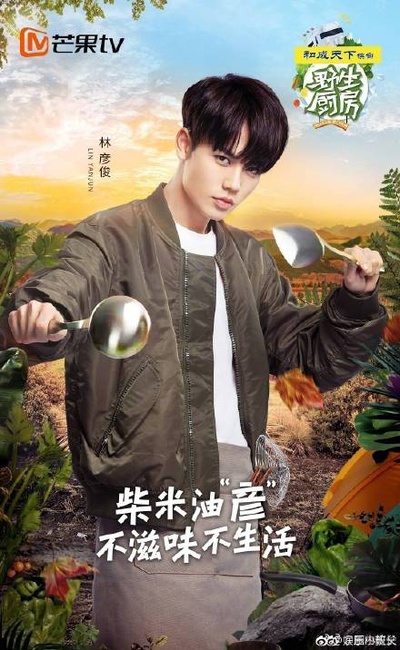 野生厨房的海报-预告海报