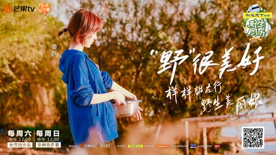 野生厨房的海报-其他海报