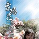 索玛花开的季节