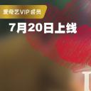 对的时间，对的人