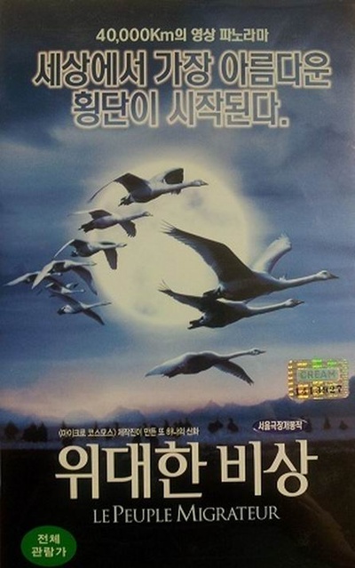 迁徙的鸟的海报-正式海报 韩国