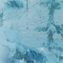 雪之华