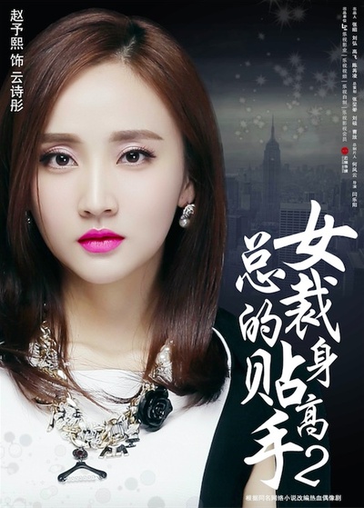 女总裁的贴身高手2的海报-角色海报