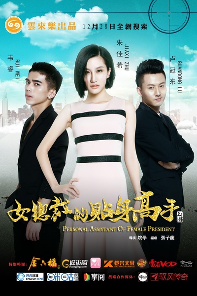 女总裁的贴身高手的海报-正式海报