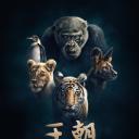 王朝