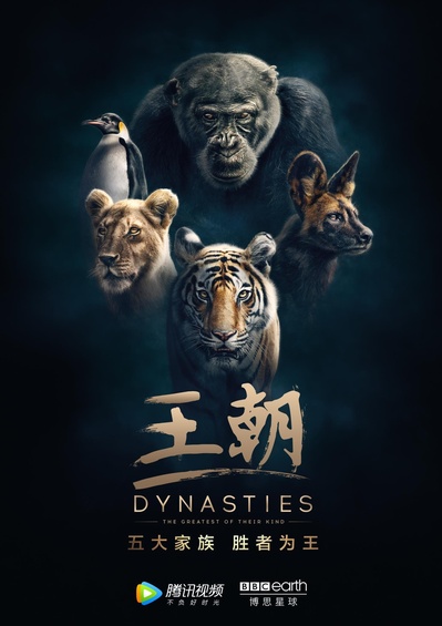 王朝的海报-正式海报 中国大陆