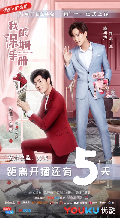 我的保姆手册的海报-预告海报 中国大陆