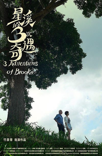 星溪的三次奇遇的海报-正式海报