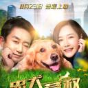 忠犬大营救