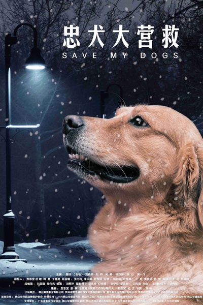 忠犬大营救的海报-正式海报 中国大陆