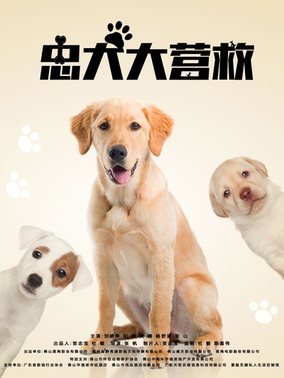 忠犬大营救的海报-正式海报 中国大陆