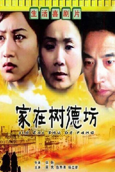 家在树德坊的海报-正式海报