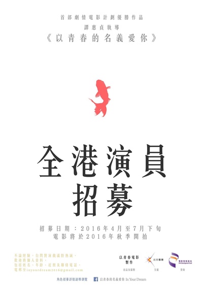以青春的名义的海报-预告海报 香港