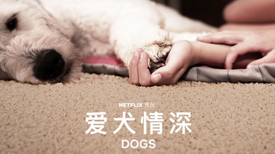 爱犬情深 第一季的海报-其他海报