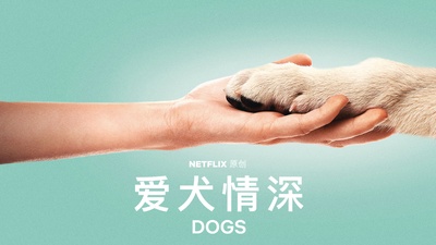 爱犬情深 第一季的海报-其他海报