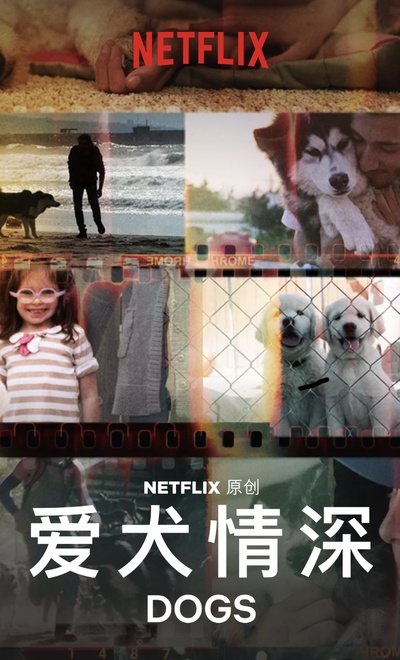爱犬情深 第一季的海报-其他海报