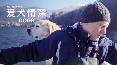爱犬情深 第一季的海报-其他海报