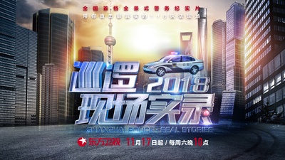 巡逻现场实录2018的海报-正式海报