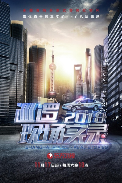 巡逻现场实录2018的海报-正式海报