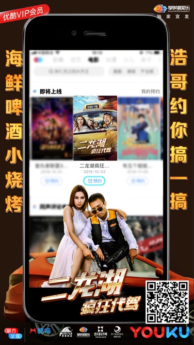 二龙湖疯狂代驾的海报-预告海报 中国大陆