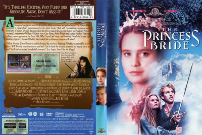 公主新娘的海报-其他海报