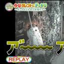 加藤谅