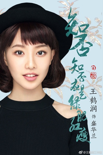 知否？知否？应是绿肥红瘦的海报-角色海报 中国大陆