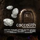 coccolith