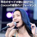 Cocco