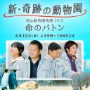 奇迹动物园2015：生命的接力棒