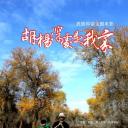 胡杨深处是我家