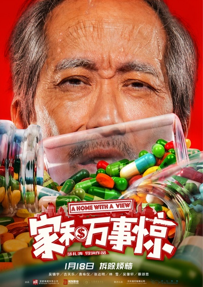 家和万事惊的海报-角色海报 中国大陆