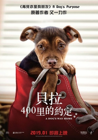一条狗的回家路的海报-预告海报 香港
