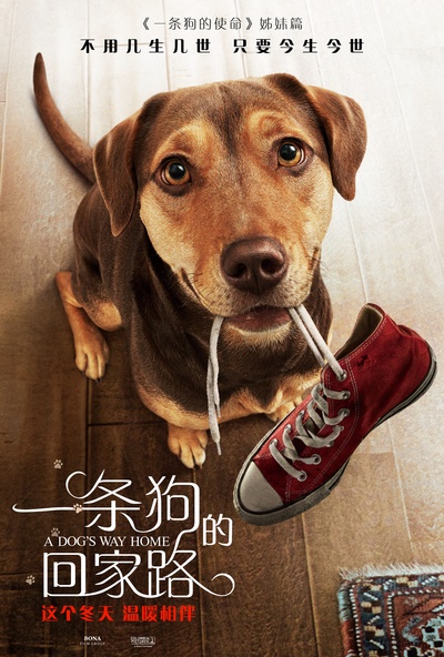 一条狗的回家路的海报-正式海报 中国大陆