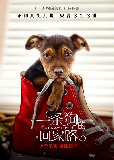 一条狗的回家路的海报-正式海报 中国大陆