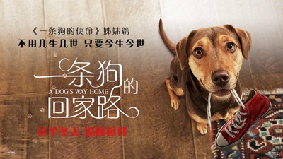 一条狗的回家路的海报-预告海报 中国大陆