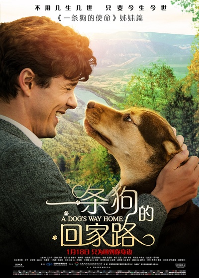 一条狗的回家路的海报-正式海报 中国大陆