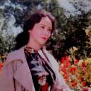 顾永菲