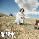 卜冠今