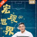 宏观世界波