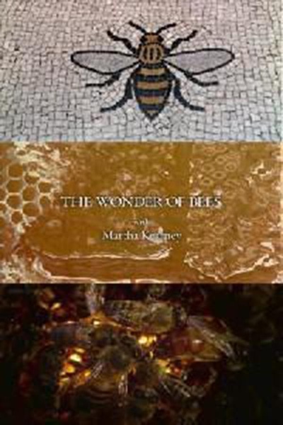 玛莎·卡妮领略神奇的蜜蜂的海报-正式海报