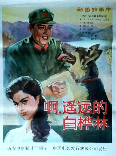 白桦林中的哨所的海报-正式海报