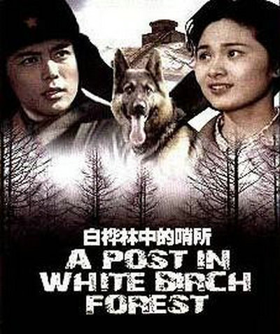 白桦林中的哨所的海报-正式海报
