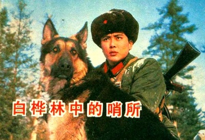 白桦林中的哨所的海报-其他海报