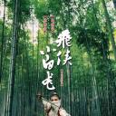 飞侠小白龙