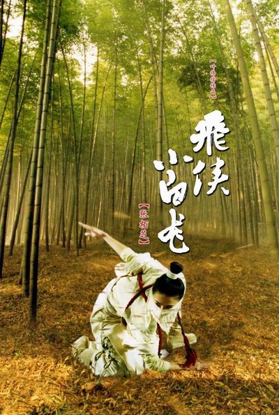 飞侠小白龙的海报-正式海报