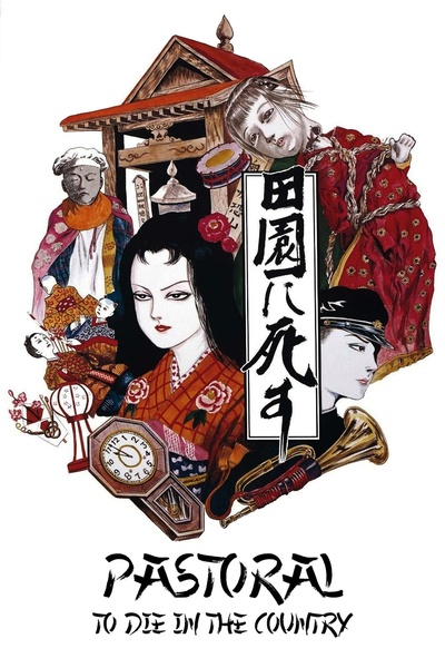 死者田园祭的海报-其他海报 美国