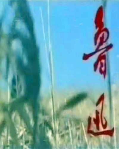 鲁迅的海报-正式海报